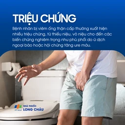 Viêm ống thận cấp 2
