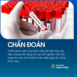 Viêm ống thận cấp 5