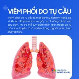 Viêm phổi do tụ cầu 1