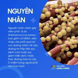 Viêm phổi do tụ cầu 3