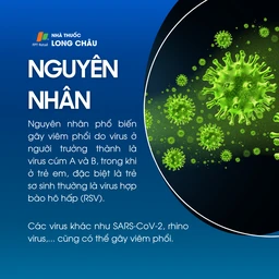 Viêm phổi do virus 3