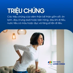 Viêm thận bể thận 2