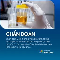 Viêm thận bể thận 5