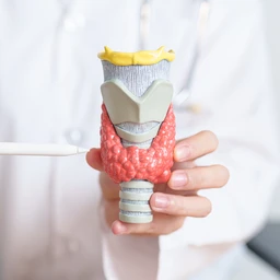 Viêm tuyến giáp bán cấp là gì? Những vấn đề cần biết về viêm tuyến giáp bán cấp 3