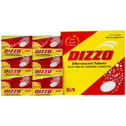 Viên sủi hỗ trợ tiêu hóa Dizzo Rv (12 vỉ x 4 viên) 1