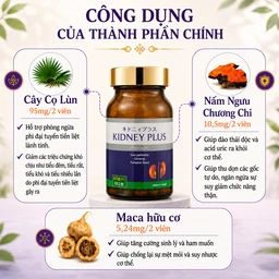 Viên uống bổ thận hỗ trợ giảm chứng khó tiểu tiện, tiểu nhiều lần do thận yếu Kidney Plus Jpanwell (60 viên) 4