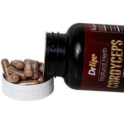 Viên uống Đông Trùng Hạ Thảo tăng cường sức đề kháng, giảm mệt mỏi DrLife Cordyceps 1500mg (60 viên)