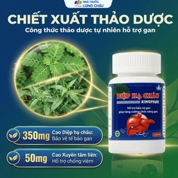 Viên uống hỗ trợ bảo vệ gan, tăng cường chức năng gan Diệp Hạ Châu Kingphar (60 viên) 3