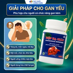 Viên uống hỗ trợ bảo vệ gan, tăng cường chức năng gan Diệp Hạ Châu Kingphar (60 viên) 4