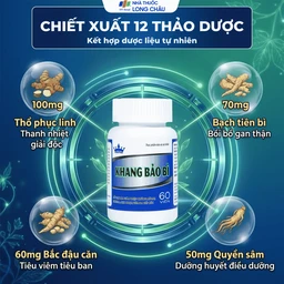 Viên uống hỗ trợ giảm mụn nhọt, da khô, nứt nẻ, lở ngứa của bệnh vảy nến Khang Bảo Bì Kingphar (60 viên) 4