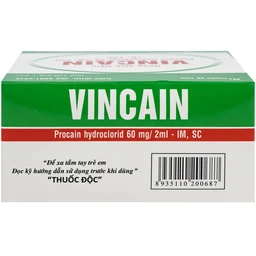 Dung dịch tiêm Vincain 60mg Vinphaco gây tê tại chỗ, gây tê cột sống (100 ống x 2ml)