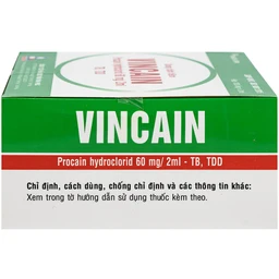 Dung dịch tiêm Vincain 60mg Vinphaco gây tê tại chỗ, gây tê cột sống (100 ống x 2ml)