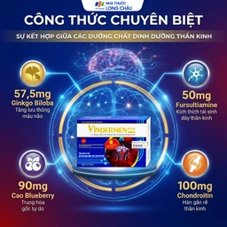 Viên hỗ trợ hoạt huyết Vindermen Plus Vinh Gia (3 vỉ x 10 viên) 3