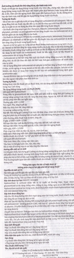 Thuốc tiêm Vinphason 100mg Vinphaco điều trị lupus ban đỏ hệ thống, hồng ban đa dạng nặng (1 lọ + 1 ống)