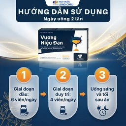 Viên uống giảm tiểu đêm Vương Niệu Đan Thái Minh (20 viên) 5