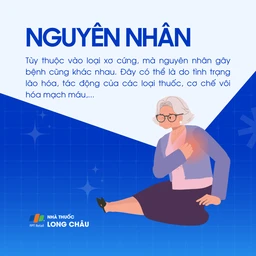 Xơ cứng động mạch không do xơ vữa 3