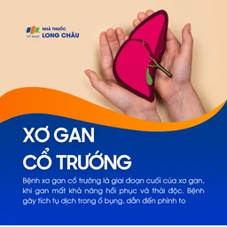 Xơ gan cổ trướng 1