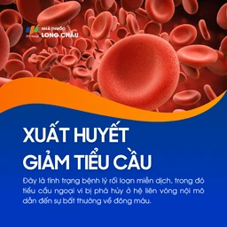 Xuất huyết giảm tiểu cầu 1