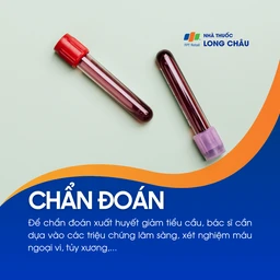 Xuất huyết giảm tiểu cầu 3