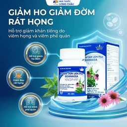 Viên uống hỗ trợ giảm ho, giảm đờm, giảm đau rát họng Xuyên Tâm Liên Plus Echinacea Kingphar (60 viên) 2