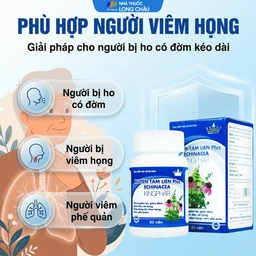 Viên uống hỗ trợ giảm ho, giảm đờm, giảm đau rát họng Xuyên Tâm Liên Plus Echinacea Kingphar (60 viên) 4