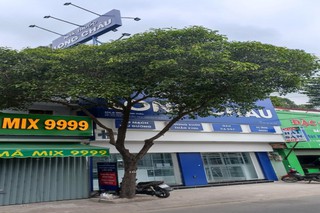 Nhà Thuốc FPT Long Châu 224 Đình Phong Phú, KP. 3, P. Tăng Nhơn Phú B, TP. Thủ Đức, TP. Hồ Chí Minh