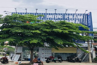 Nhà Thuốc FPT Long Châu 49 Nguyễn Văn Cừ (Cách Chợ Long Toàn 300M), P. Long Toàn, TP. Bà Rịa, Tỉnh Bà Rịa - Vũng Tàu