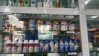 Nhà Thuốc FPT Long Châu 88 Nguyễn Viết Xuân, P. Đống Đa, TP. Vĩnh Yên, Tỉnh Vĩnh Phúc
