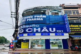 Nhà Thuốc FPT Long Châu 28 Huỳnh Đăng Thơ, P. Đập Đá, TX. An Nhơn, Tỉnh Bình Định