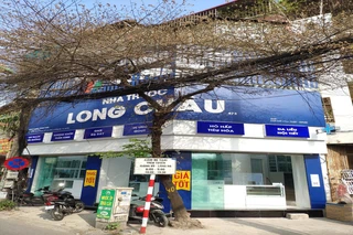 Nhà Thuốc FPT Long Châu 242 Đê La Thành (Ngã Tư Đê La Thành - Hào Nam), P. Ô Chợ Dừa, Q. Đống Đa, TP. Hà Nội