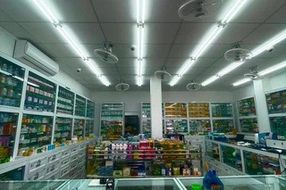 Nhà Thuốc FPT Long Châu 26 Trần Đăng Ninh (Đối Diện Rạp Pò Xoài), P. Hoàng Văn Thụ, TP. Lạng Sơn, Tỉnh Lạng Sơn