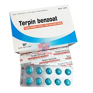 Thuốc Terpin Benzoat Thành Nam giúp giảm ho, long đờm (10 vỉ x 10 viên)