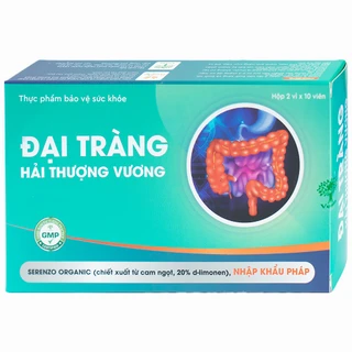Viên uống giúp giảm rối loại tiêu hóa do viêm đại tràng Đại Tràng Hải Thượng Vương (2 vỉ x 10 viên)
