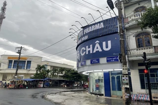 Nhà Thuốc FPT Long Châu 38 Lê Thành Phương (Ngã Tư Lê Thành Phương – Trần Phú), X. Tuy An Bắc, Tỉnh Đắk Lắk