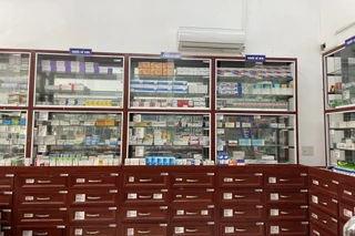 Nhà Thuốc FPT Long Châu PG1-11 Quang Trung, P. Trần Hưng Đạo, Tỉnh Hưng Yên