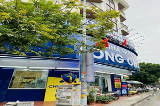 Nhà Thuốc FPT Long Châu 282 Trần Phú, P. Cao Xanh, Tỉnh Quảng Ninh