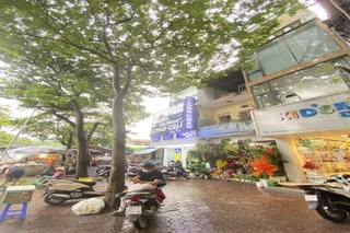 Nhà Thuốc FPT Long Châu 22 Nghĩa Tân (Cạnh Cổng Chợ Nghĩa Tân), P. Nghĩa Đô, TP. Hà Nội