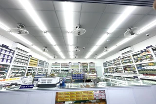 Nhà Thuốc FPT Long Châu 240 Yên Mỹ (Gần Chợ Thị Trấn Yên Mỹ), X. Yên Mỹ, Tỉnh Hưng Yên