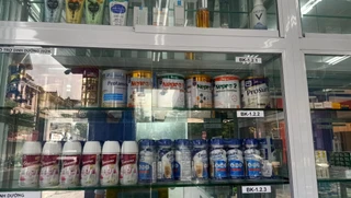 Nhà Thuốc FPT Long Châu 88 Nguyễn Viết Xuân, P. Vĩnh Phúc, Tỉnh Phú Thọ