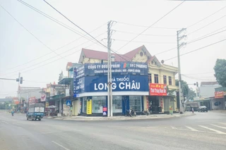 Nhà Thuốc FPT Long Châu Ngã Ba Rịa, Thôn Phúc Lộc, X. Quỳnh Lưu, Tỉnh Ninh Bình