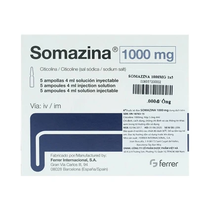 Thuốc tiêm Somazina 1000mg điều trị các rối loạn nhận thức, cảm giác (5 ống x 4ml)
