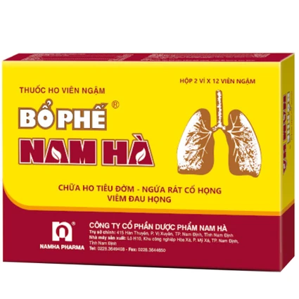 Viên ngậm ho Bổ Phế Nam Hà tiêu đờm, bổ phổi, sát trùng họng (2 vỉ x 12 viên)