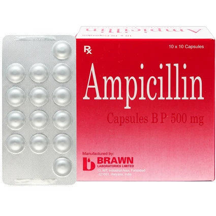 Thuốc Ampicillin Capsules BP 500mg Brawn điều trị nhiễm khuẩn (10 vỉ x 10 viên)