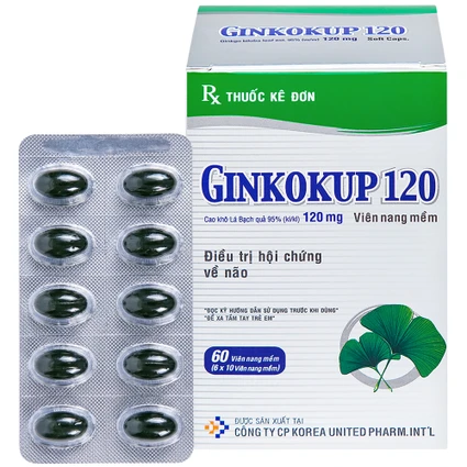 Thuốc Ginkokup 120 United điều trị bệnh sa sút trí tuệ, kể cả bệnh Alzheimer (6 vỉ x 10 viên)