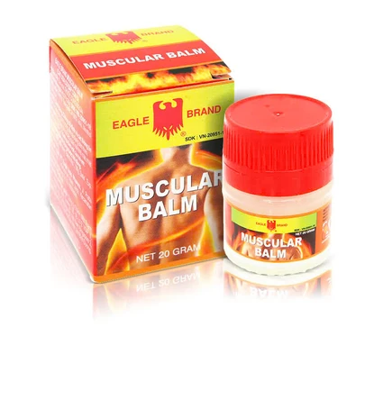 Cao xoa cơ bắp con ó Muscular Balm Eagle Brand hỗ trợ giảm đau vai, đau lưng (12 chai x 20g)