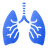 Hô hấp - Tai mũi họng