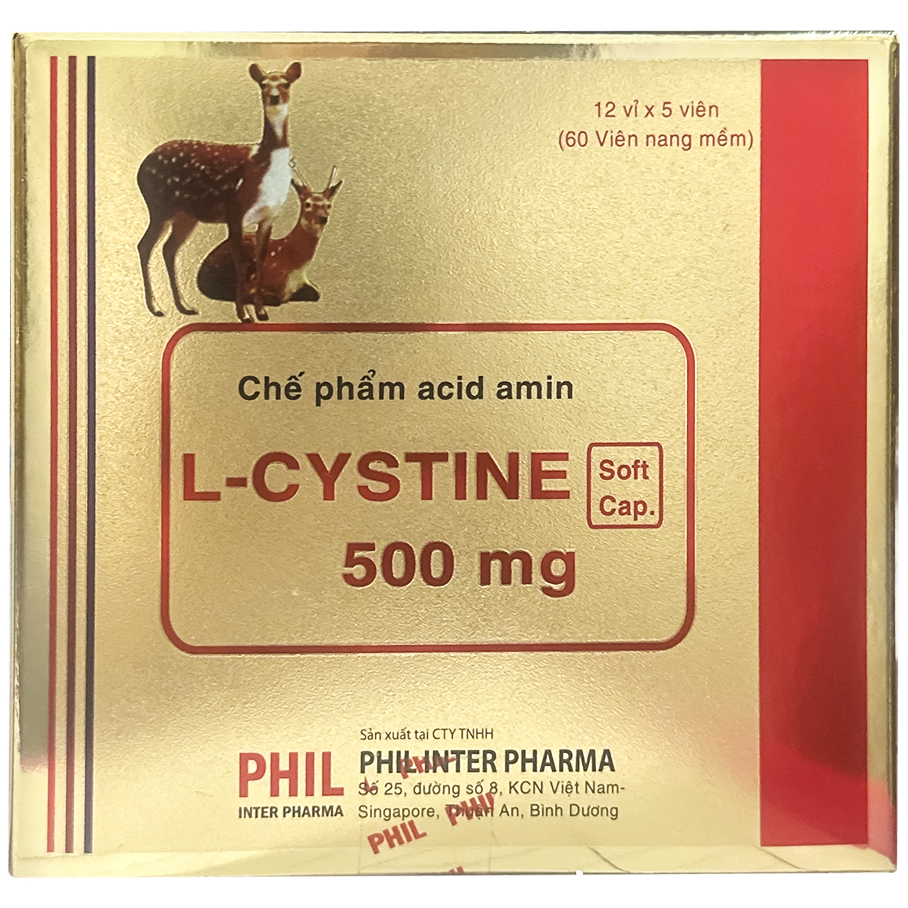 Hình ảnh Thuốc L-Cystine 500mg Inter Pharma bổ sung cho người suy dinh dưỡng, kém hấp thu, sạm da (12 vỉ x 5 viên)