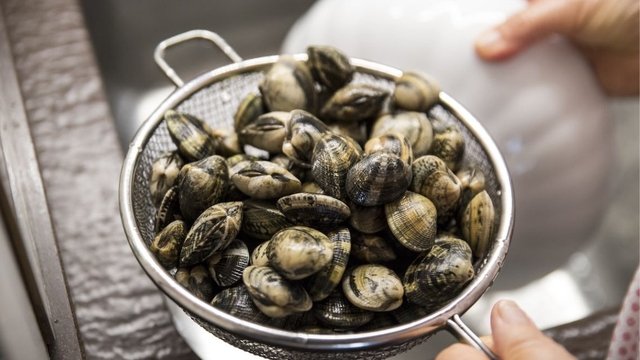 bai-viet/cach-bao-quan-ngao-de-tranh-nhiem-khuan-va-giu-vi-ngot-tu-nhien.html