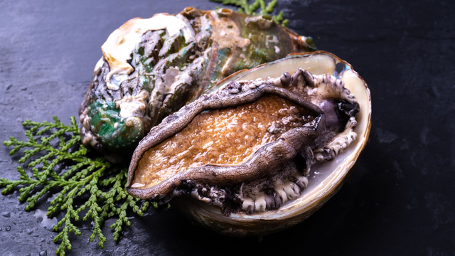 bai-viet/bao-ngu-gia-tri-dinh-duong-va-loi-ich-suc-khoe-tu-dai-duong.html
