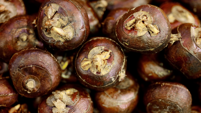 bai-viet/gia-tri-dinh-duong-va-tac-dung-cua-cu-nang-doi-voi-suc-khoe.html